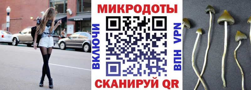 Псилоцибиновые грибы мицелий Ахтубинск