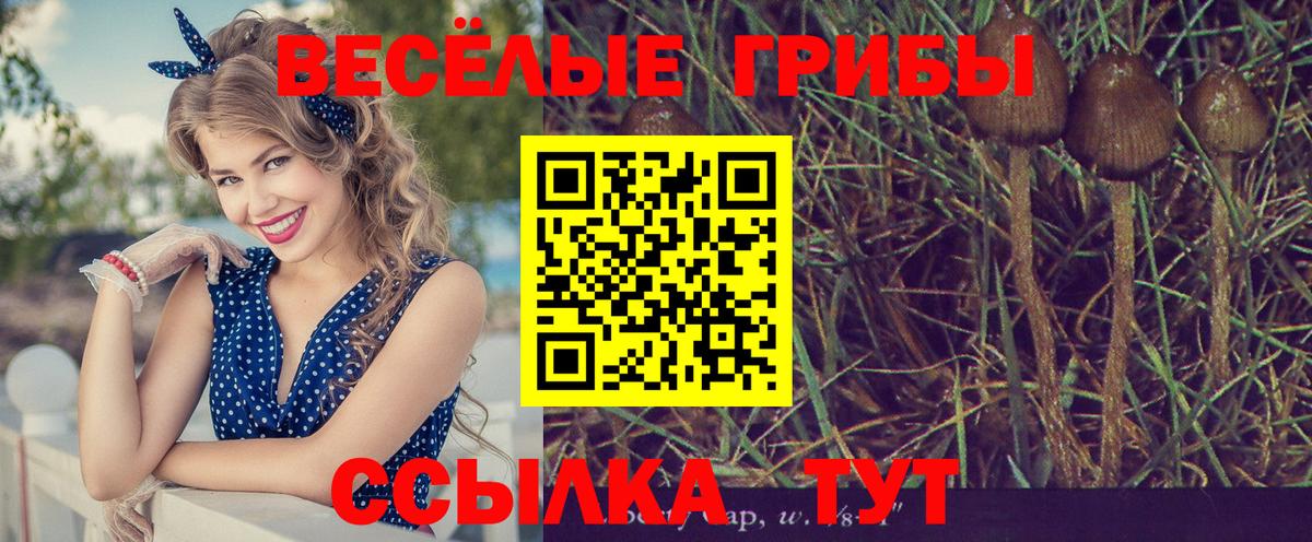 Ахтубинск  Псилоцибиновые грибы мицелий  Вход с VPN 